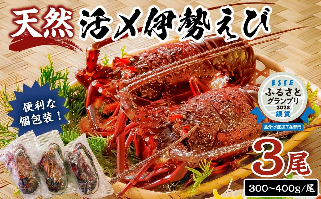 
            【配送月が選べる】【天然】甘み凝縮！活〆冷凍伊勢海老900ｇ以上（300ｇ×3尾） mi0020-0003-SKU 【 伊勢海老 伊勢エビ 伊勢 海老 エビ えび魚介 海鮮 お祝い ギフト プレゼント 天然 刺身 千葉 キャンプ BBQ バーベキュー 冷凍 】
          