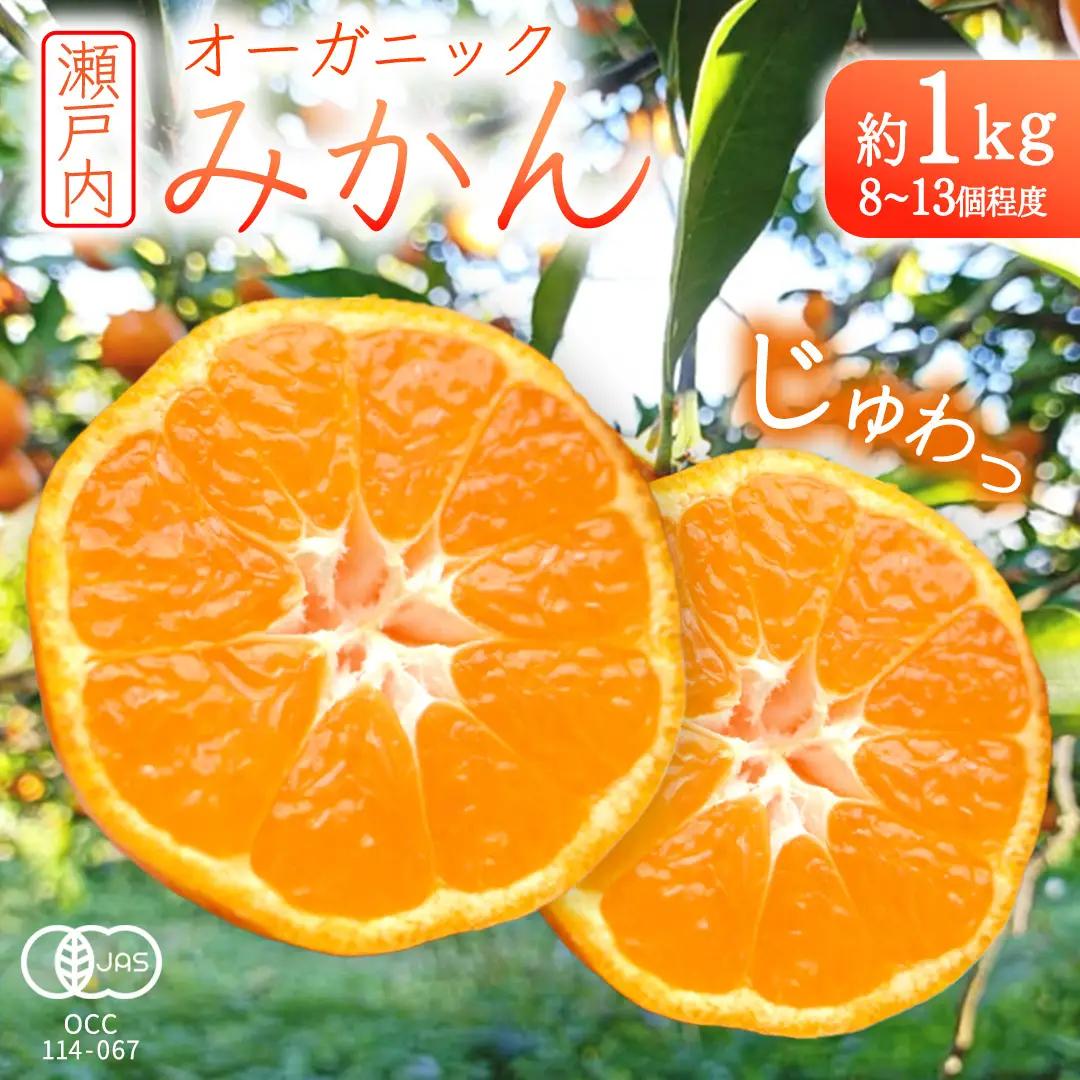 オーガニック 瀬戸内みかん 先行予約 有機JAS認証 中原観光農園 約1kg (8～13個程度) 国産 広島 大崎上島町産 【 2026年 10月 中旬～1月 発送 】