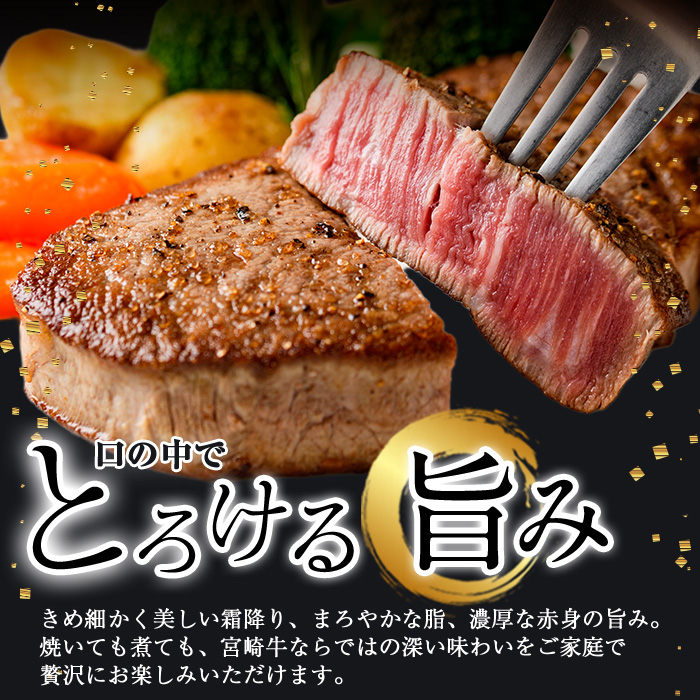 宮崎牛 赤身＆カルビカット しゃぶしゃぶ (合計1kg・500g×2) しゃぶしゃぶ お肉 牛肉 黒毛和牛 宮崎牛 ブランド和牛 冷凍 国産 カルビ 赤身 宮崎県産 【YM-46】【YAMATO株式会