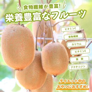 先行予約 キウイフルーツ 香緑 約750g キウイ