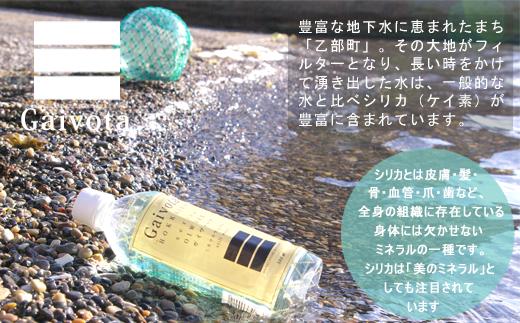 ＜Gaivota 1箱(500ml×24本/箱)+1箱(2L×6本/箱)＞北のハイグレード食品 天然シリカ水 ミネラルウォーター 軟水