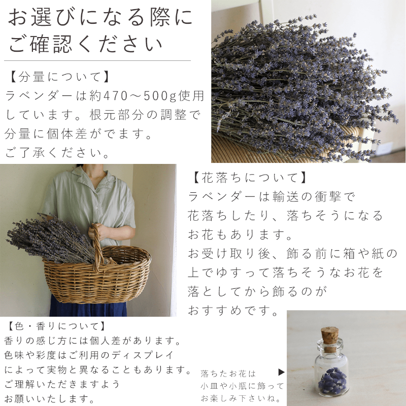 【2025年9月上旬から順次お届け】富良野 花七曜 上富良野 ラベンダー ブーケ Lサイズ ◆ ドライフラワー 花束 花 インテリア 雑貨 植物 ギフト プレゼント 贈り物