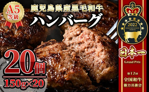 鹿児島県産『鹿児島黒牛』A5ランク　極めたハンバーグ20個【うしの中山】