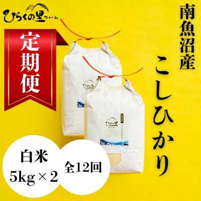 ふるさと納税 南魚沼市 【毎月定期便】もっちり甘い!南魚沼産コシヒカリ 白米5kg×2袋 ひらくの里ファーム全12回