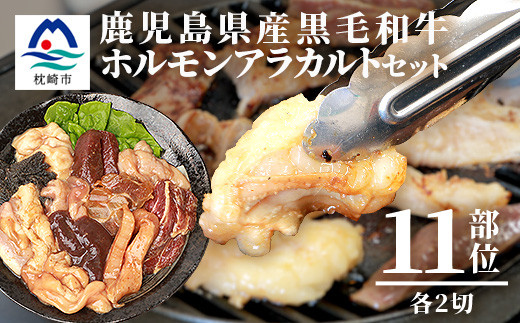 鹿児島県産黒毛和牛 ホルモン アラカルトセット 食べ比べ11部位 焼肉屋店主こだわり A3−203【配送不可地域：離島】【1166394】