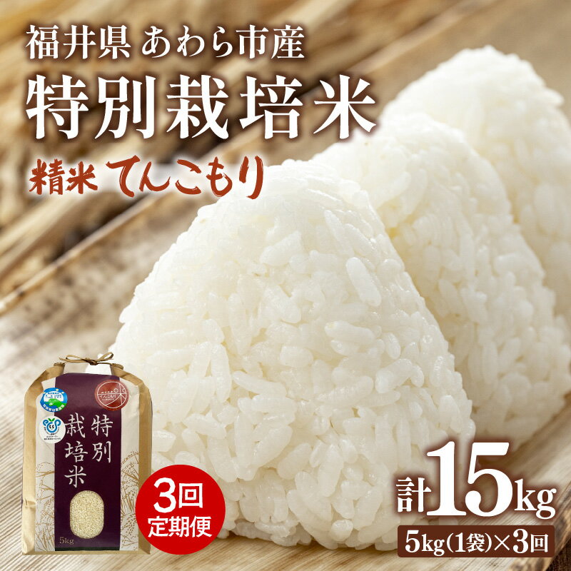 【ふるさと納税】【令和7年産】定期便 ≪3ヶ月連続お届け≫ 化学肥料不使用 特別栽培米 てんこもり 精米 5kg × 3回（合計15kg） / 白米 米 福井県あわら市産 美味しい 特別栽培米 減農薬 安心な米 旨味 甘み もっちり 冷蔵保管米