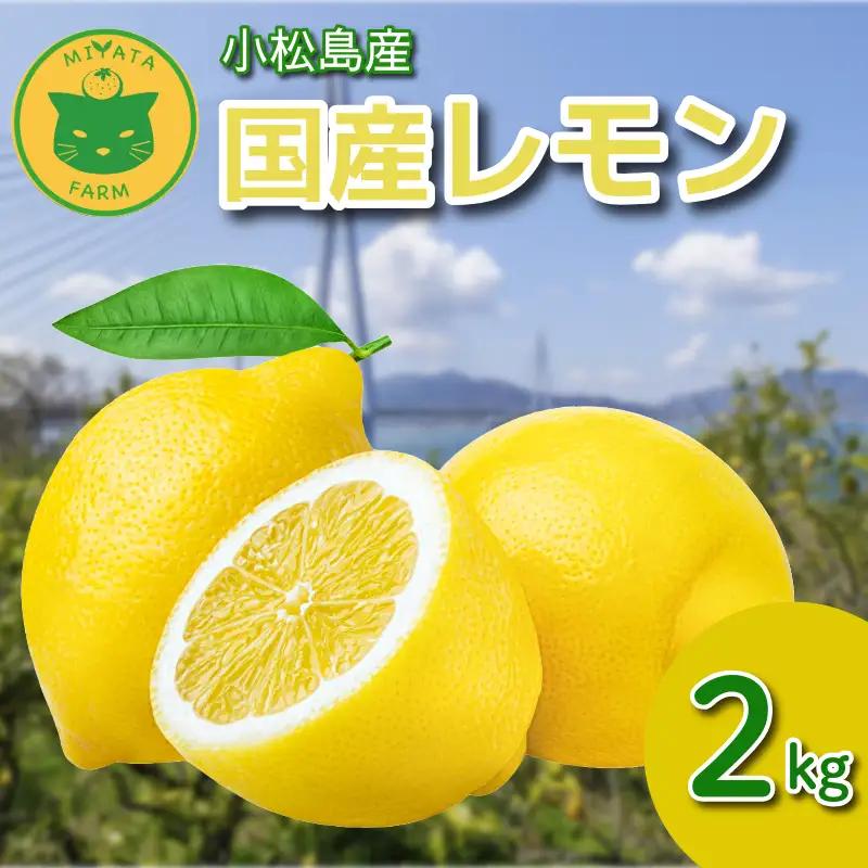 【2026年11月発送】 レモン 2kg 秀品  国産 檸檬 ワックス不使用 防腐剤不使用 
