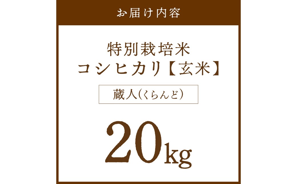 令和8年産 特別栽培米コシヒカリ 蔵人（くらんど） 玄米20kg 特別栽培米 コシヒカリ 蔵人 おこめ 京都産 ふるさと納税 玄米 ふるさと納税 コシヒカリ こしひかり　GF00038