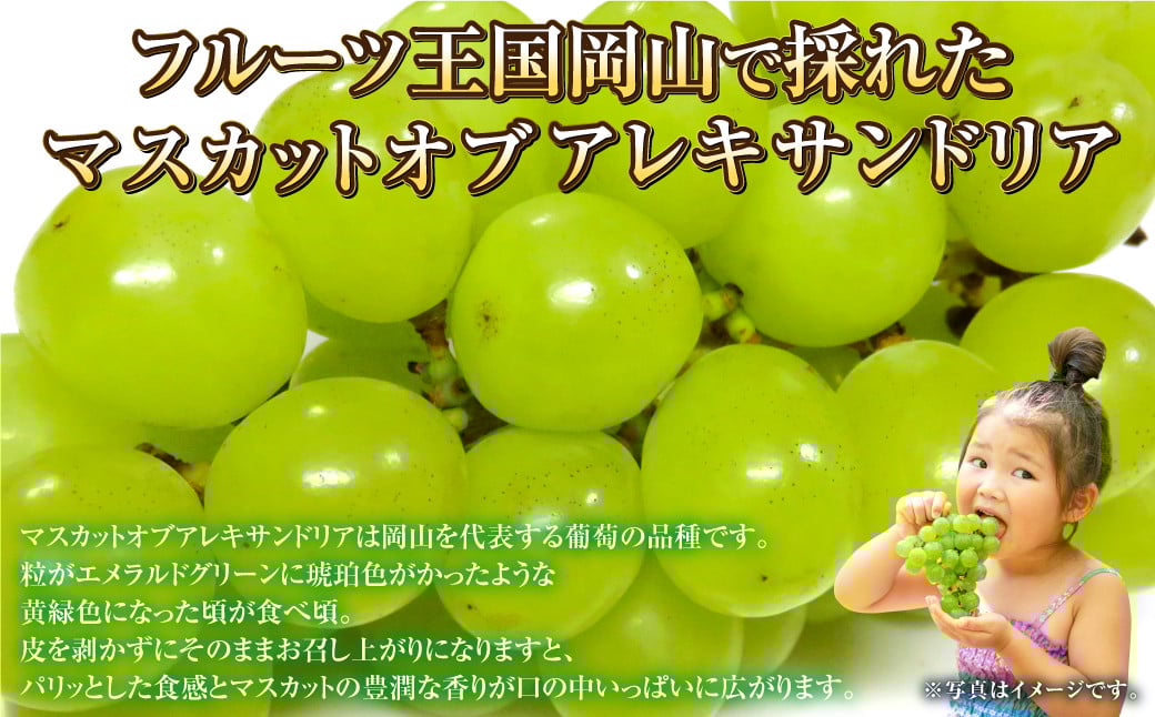 岡山県産 マスカット・オブ・アレキサンドリア 約700g（1房）