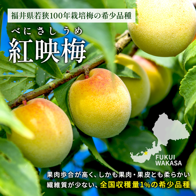 梅酒 BENICHU38°750ml[髙島屋選定品］