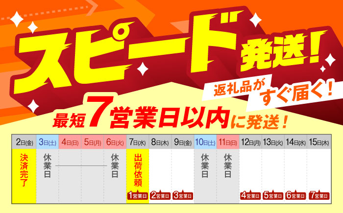 【本格追求】プレミアム 海鮮 皿うどん 3食  / 南島原市 / こじま製麺 [SAZ032]