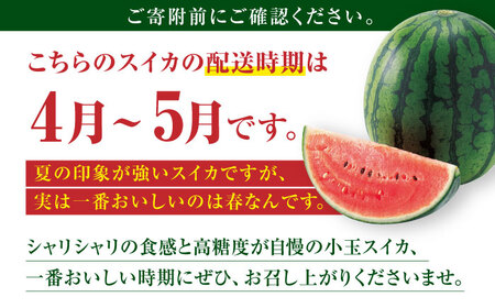 【先行予約】小玉スイカ ひとりじめ 2玉 2Lサイズ 【株式会社 前田ファーム】[ZCM011]