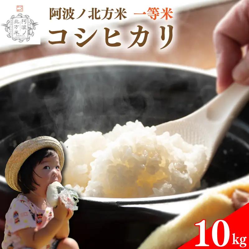 コシヒカリ 米 10kg コシヒカリ