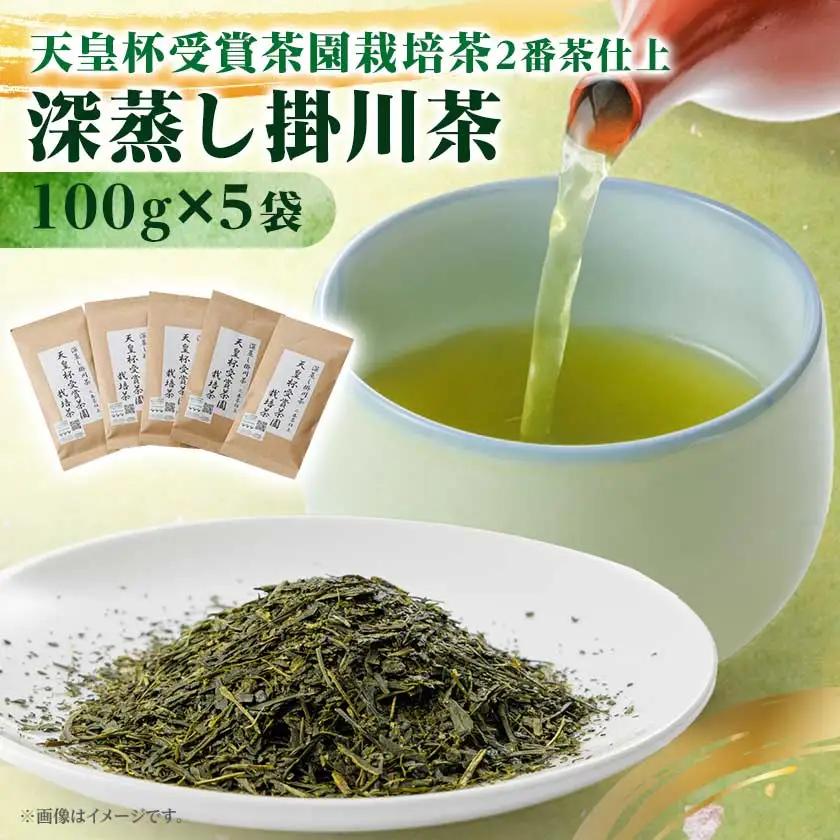 天皇杯受賞茶園栽培茶2番茶仕上　深蒸し掛川茶100g×5袋【配送不可地域：離島・沖縄県】【1749863】