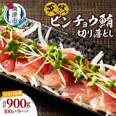 ふるさと納税 焼津市 天然ビンチョウマグロ切落し 小分け 焼津 海の極 計1.1kg 100g×11P(a10-1280)