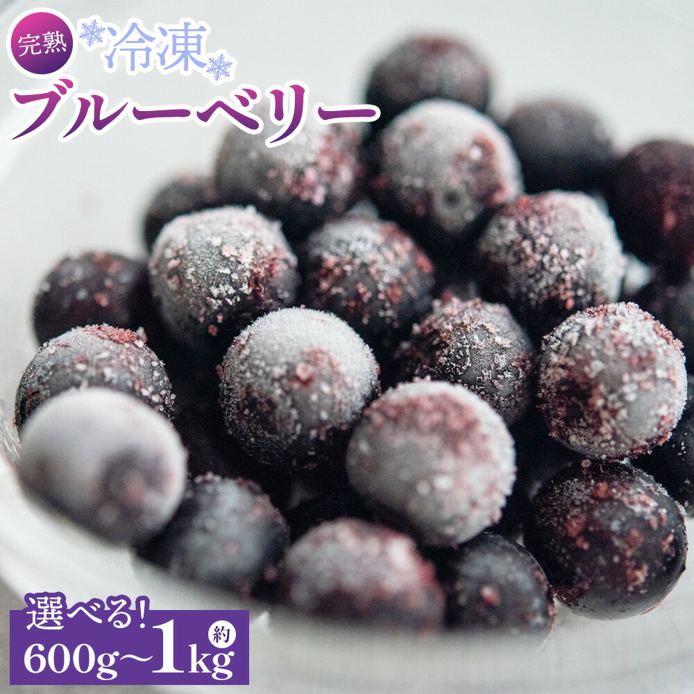 【ふるさと納税】【選べる】完熟 冷凍ブルーベリー 約600g～1kg - 選べる 内容量 フルーツ 果物 くだもの おやつ スイーツ デザート スムージー ヨーグルト ジャム 国産 高知県産 柳本果樹園 高知県 香南市【冷凍】