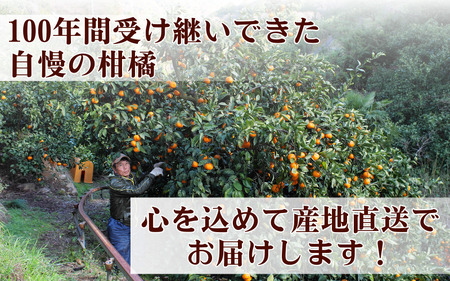 タカじいの 有田 みかん 5kg （良品 サイズ混合 or 大玉） / 温州みかん 有田みかん 甘い 家庭用 和歌山 柑橘 ※12月順次発送【krs004-c-5-12A】