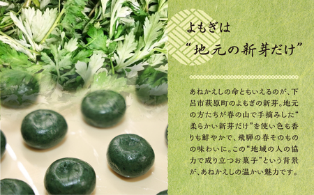 【冷凍配送】あねかえし 20個入り（5個入×4パック）【87-2】