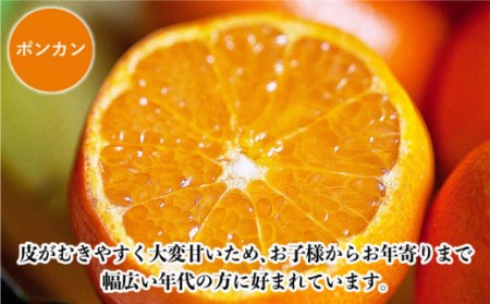【数量限定】ポンカン&スィートスプリング 食べ比べセット 約9kg【長崎ぶんたんの会】 [OAF009] / 柑橘みかん柑橘みかん柑橘みかん柑橘みかん柑橘みかん柑橘みかん