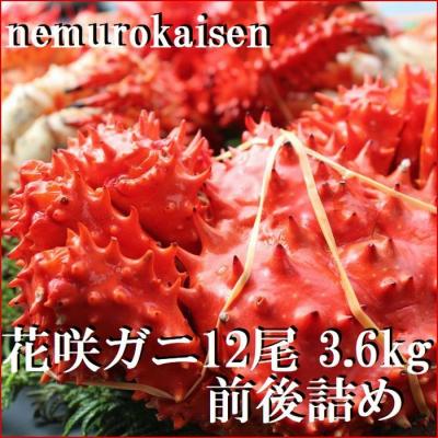ふるさと納税 根室市 【北海道根室産】花咲ガニ12尾(計3.6kg前後) C-57051