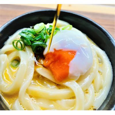 ふるさと納税 琴平町 【製麺所直送】一晩熟成半生さぬきうどん6kg!(500g×12袋)本場讃岐からお届けします。 |  | 03