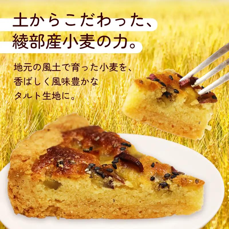 季節のおまかせタルト 8ピース ベイクドタルト