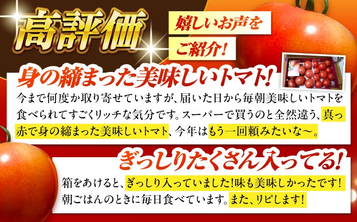 訳あり トマト とまと 大玉トマト ミニトマト 詰め合わせ お取り寄せ 産地直送 とまと トマト 野菜 やさい