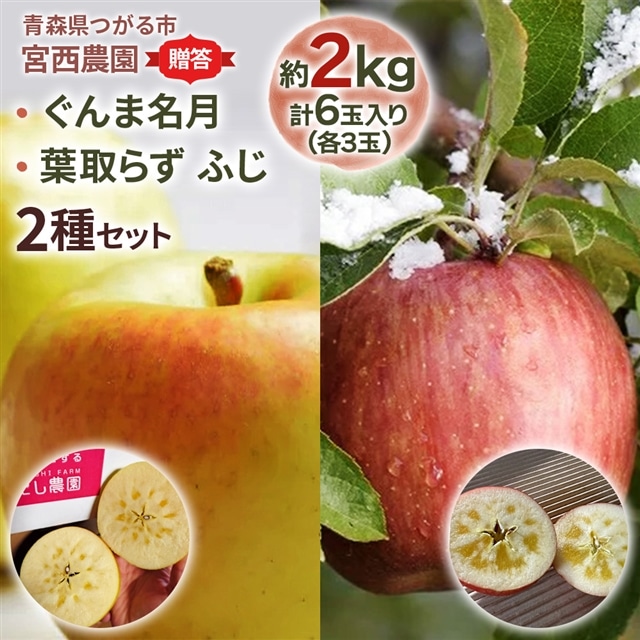 [贈答用] ぐんま名月×葉取らずふじ【約2kg 各3玉入り 計6玉】贅沢りんご 2種セット｜青森産 津軽 つがる りんご リンゴ 果物 フルーツ [0681]