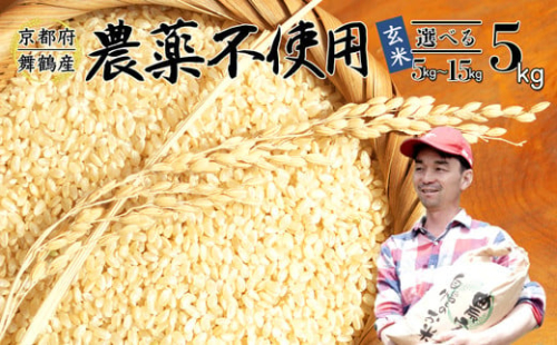 【令和7年度産 新米 先行予約】 棚田米 玄米 5kg 栽培期間中農薬不使用 コシヒカリ こしひかり お米 健康 おにぎり お弁当 京都 舞鶴 農家直送