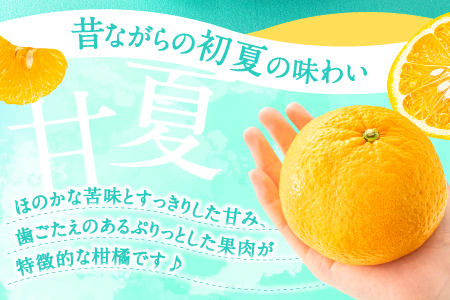 AA093.福岡柑橘王国・樹成り完熟甘夏／約8kg（2027年4月～5月配送予定）