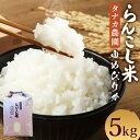 【ふるさと納税】らんこし米 ゆめぴりか 5kg【タナカ農園】 お米 白米 精米 令和6年産 北海道産 送料無料 【2024年10月下旬より順次発送予定】