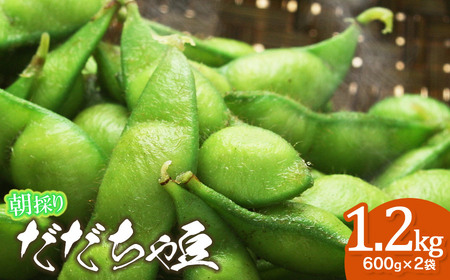 【令和8年産先行予約】【8/10～8/16発送】 朝採り生だだちゃ豆 1.2kg(600g×2袋) 山形県鶴岡市産　株式会社菜な八（鶴岡ファーマーズ）