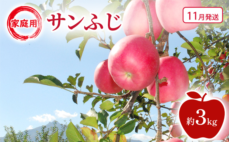 【11月発送】家庭用 サンふじ 約3kg 果物類 フルーツ 林檎 リンゴ 鶴田町 青森県 おやつ デザート