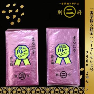 ふるさと納税 別府市 一番茶摘み緑茶ハレーすいせい2号(250g×2本セット)