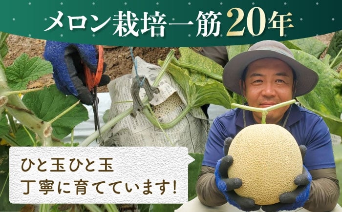 果物 フルーツ 青肉 メロン めろん 長崎 雲仙 甘い お取り寄せ 贈答
