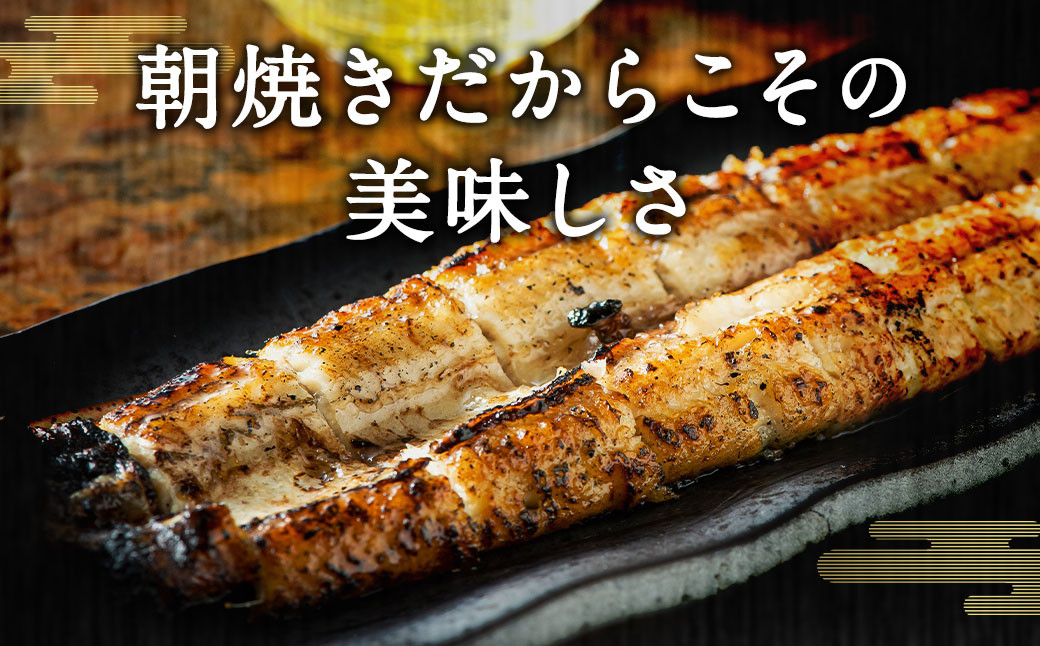 柳川朝焼きうなぎ 2尾入 約150g×2 合計約300g タレ・山椒3袋