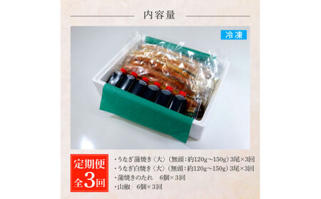うなぎの蒲焼き(大)+白焼き(大) 各3尾×3回 定期便 3ヶ月 定期コースタレ付き 山椒付き
