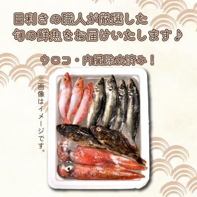 ふるさと納税 下関市 旬 鮮魚 ボックス 約 3kg 下処理 済 詰め合わせ セット 刺身 下関 山口 IA102 |  | 02