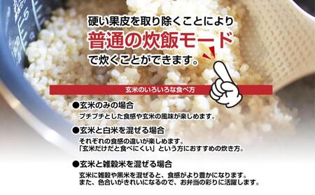 南魚沼産 コシヒカリ 普通に炊ける 玄米 2kg×2袋 計4kg こしひかり 新潟県 米 玄米食 コメ こめ