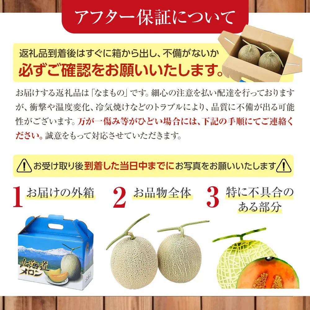 【先行予約】北海道産赤・青肉メロン2玉セット(各1.6kg×1) (2026年7月中旬から発送開始) | メロン _02062