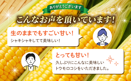 【先行受付2026年発送】生でもすごく甘い！生きた土壌で育った『とうもろこし』2Lサイズ12本｜里山JAPAN　※2026年7月中旬以降発送予定