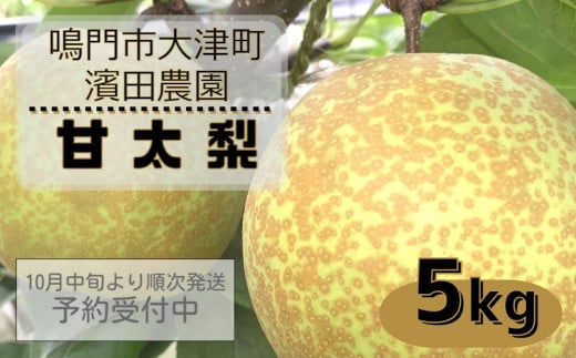 【予約受付中】濱田農園 甘太梨 約5kg  【数量限定】【10月中旬より順次発送】 フルーツ 果物 梨 ナシ 完熟梨 季節の梨 旬の梨 秋の梨 鳴門の梨 完熟果物 季節の果物 旬の果物 秋の果物 鳴門の果物 完熟フルーツ 季節のフルーツ 旬のフルーツ 秋のフルーツ 鳴門のフルーツ 濱田農園の果物 濱田農園のフルーツ
