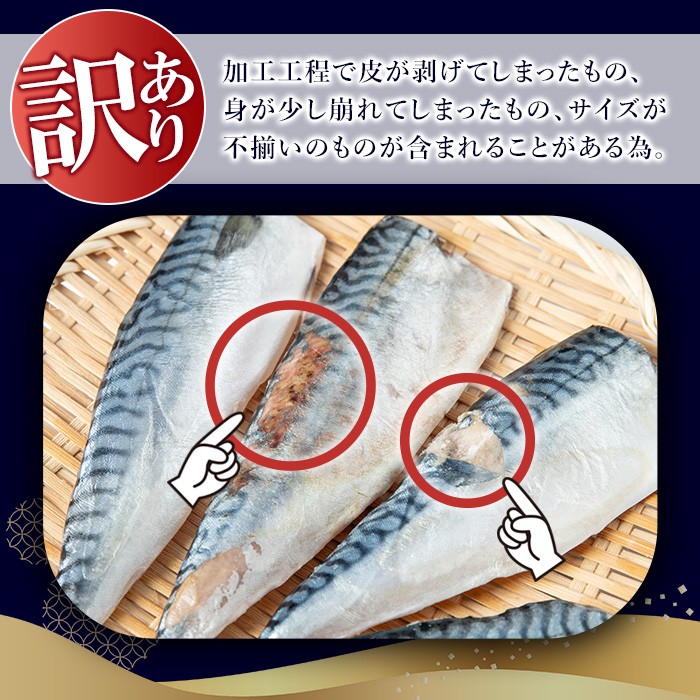 No.1383-C 訳あり！無塩とろさばフィーレ(約3kg) 干物 さば サ