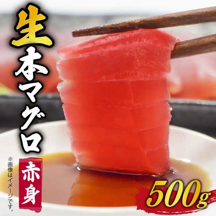 五島列島産養殖生本かみまぐろ 赤身 刺身 500g[RBP050] 本マグロ 本まぐろ 本マグロ 本まぐろ 本マグロ 本まぐろ 本マグロ 本まぐろ 本マグロ 本まぐろ九州 長崎