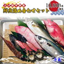 【ふるさと納税】 鮮魚 詰め合わせ・セット・パック (10,800円相当) 【 魚 新鮮 ツマミ 刺身 塩焼き 詰め合わせ 高級魚 市場直送 山口県 宇部市】