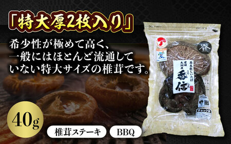 しいたけ 原木乾しいたけ 4種食べ比べセット しいたけ[AGBK002]
