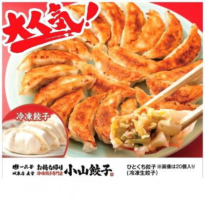 ふるさと納税 小山市 冷凍餃子専門店 小山餃子 [Mセット全85個]ひとくち餃子60個/大きい餃子25個 |  | 01