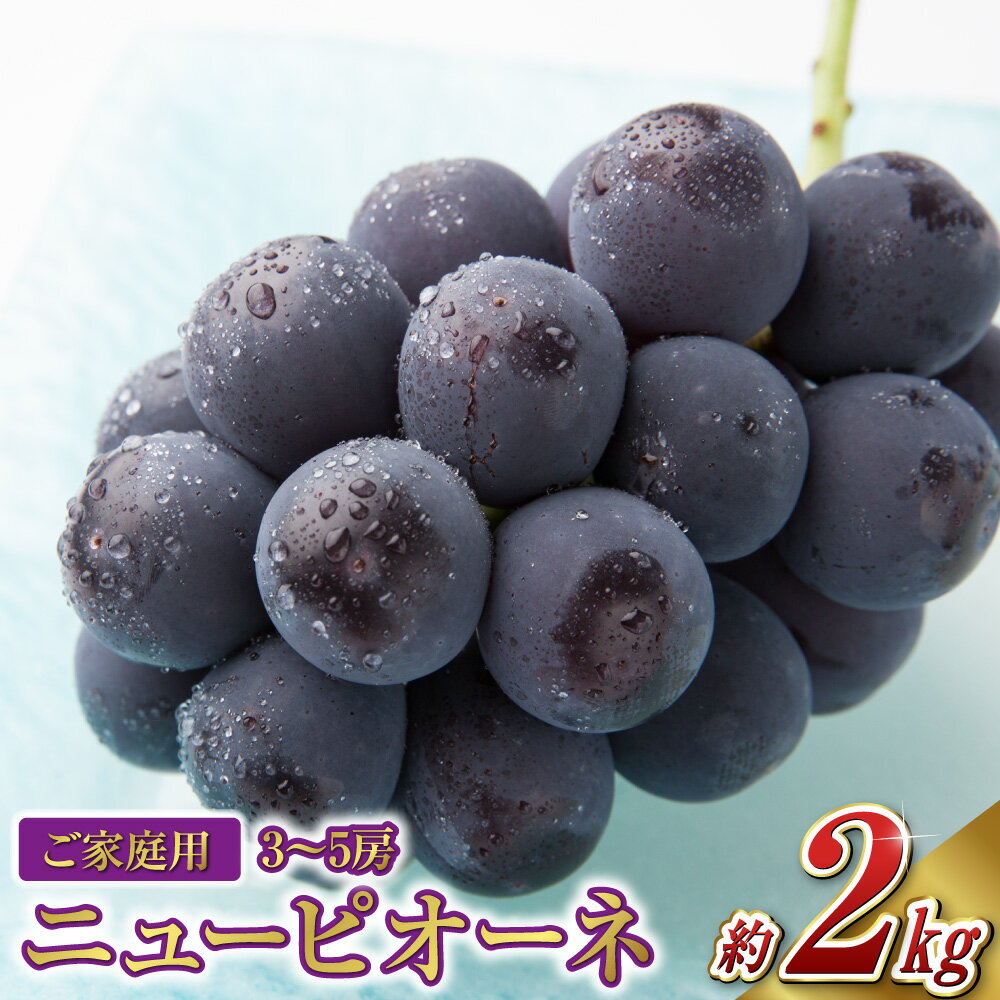 【ふるさと納税】桃 2025年 先行予約 ご家庭用 ニュー ピオーネ 約2.0kg （3～5房） ブドウ 葡萄 岡山県産 国産 フルーツ 果物 果物 ぶどう フルーツ デザート スイーツ 高糖度 甘い 種なし 大粒 人気 子供【2025年8月下旬～10月下旬 発送予定】