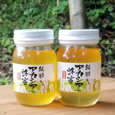 ふるさと納税 十和田市 【青森県十和田市産】アカシア蜂蜜550g　2本セット