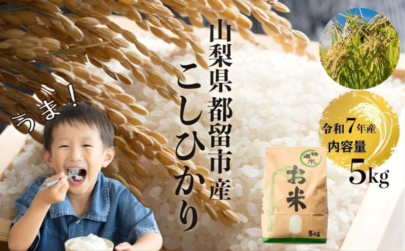 
                  【令和７年産】山梨県都留市産こしひかり[5kg]　　おコメ 米 こめ  こしひかり
                